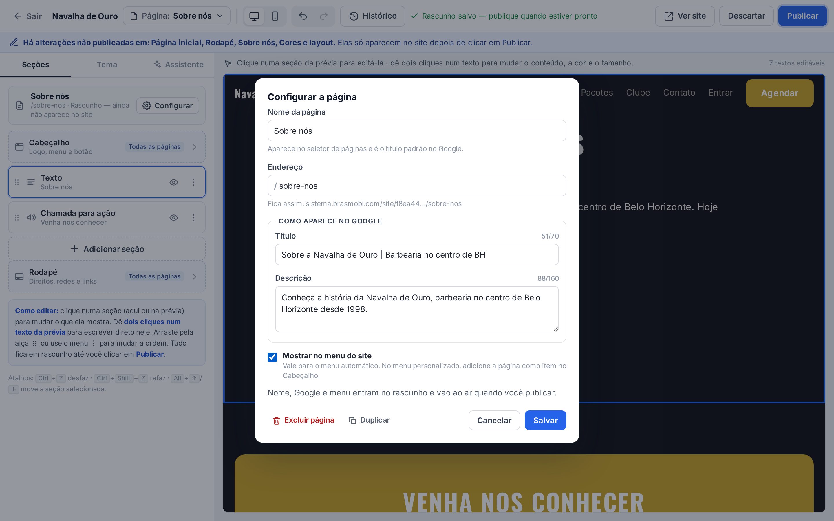 Janela Configurar a página com nome, endereço, título e descrição para o Google, Mostrar no menu do site, Excluir página e Duplicar